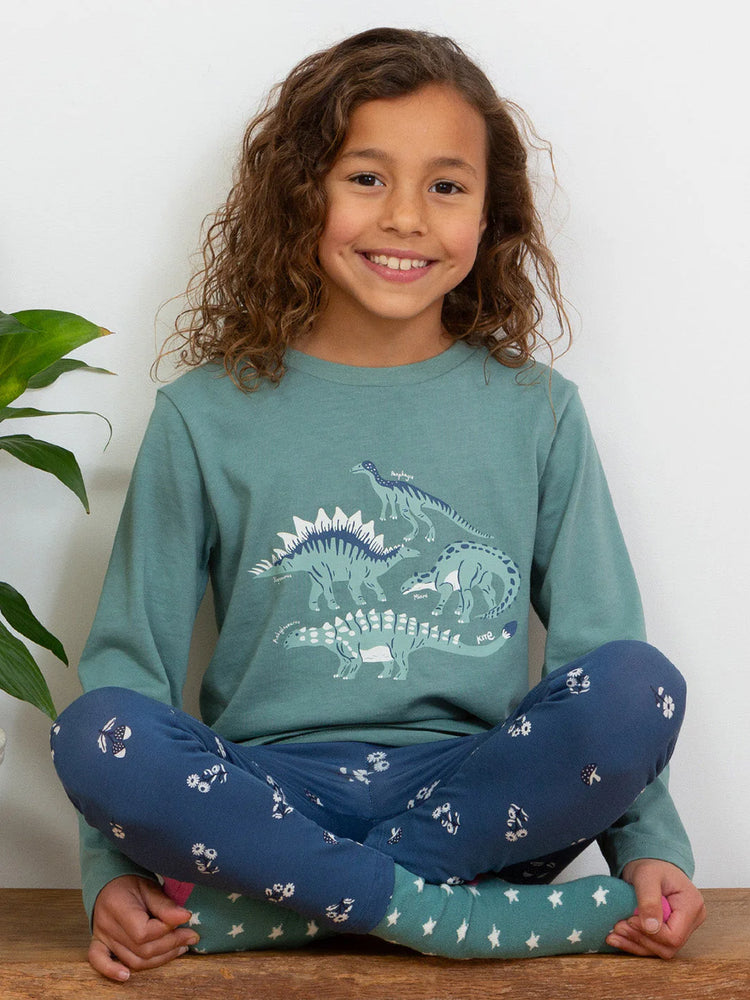 
                  
                    Veggie Dino T-shirt
                  
                