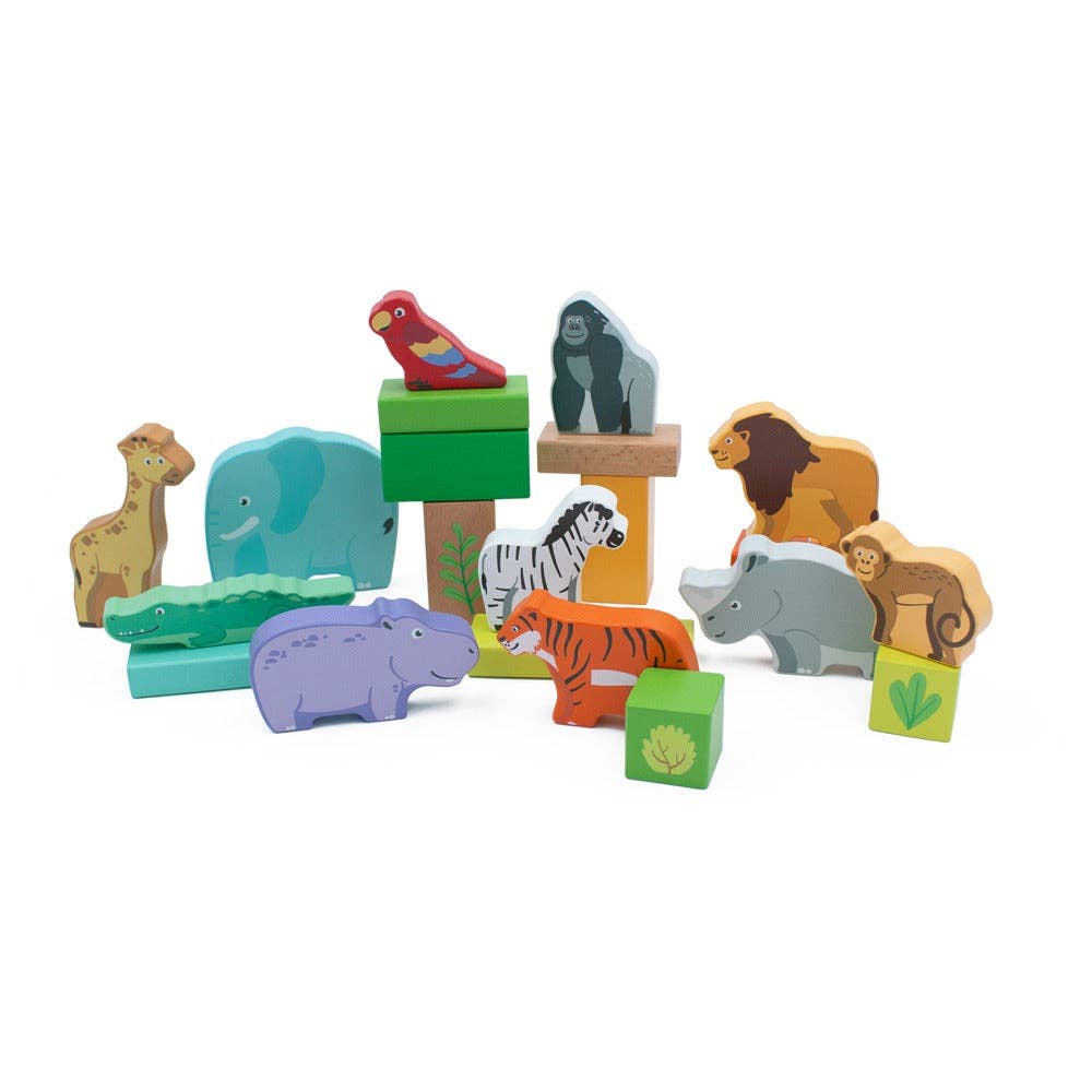 
                  
                    Safari Block Set (in net bag)
                  
                