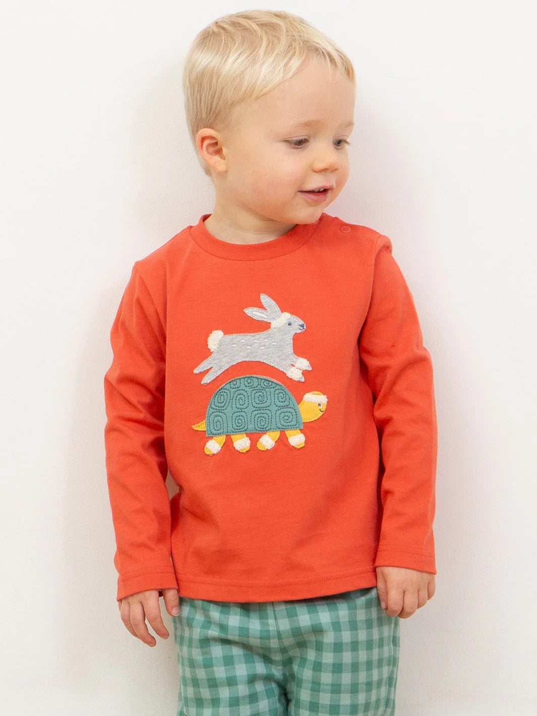 
                  
                    Hare and Tortoise t - shirt
                  
                