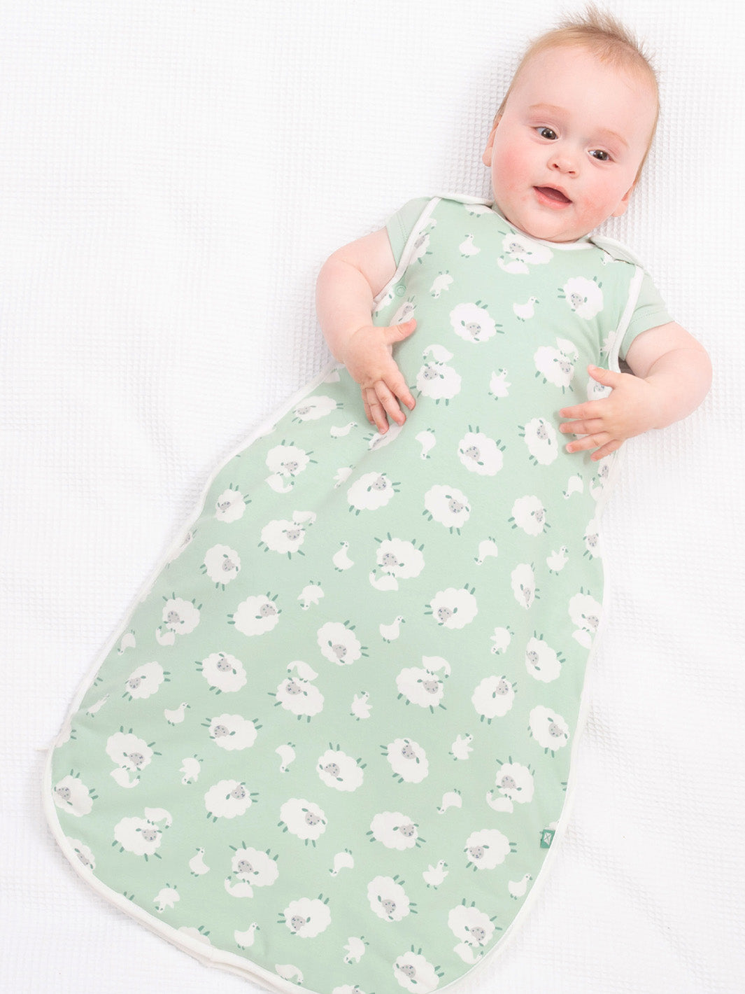 
                  
                    Baa Baa Quack sleep bag
                  
                