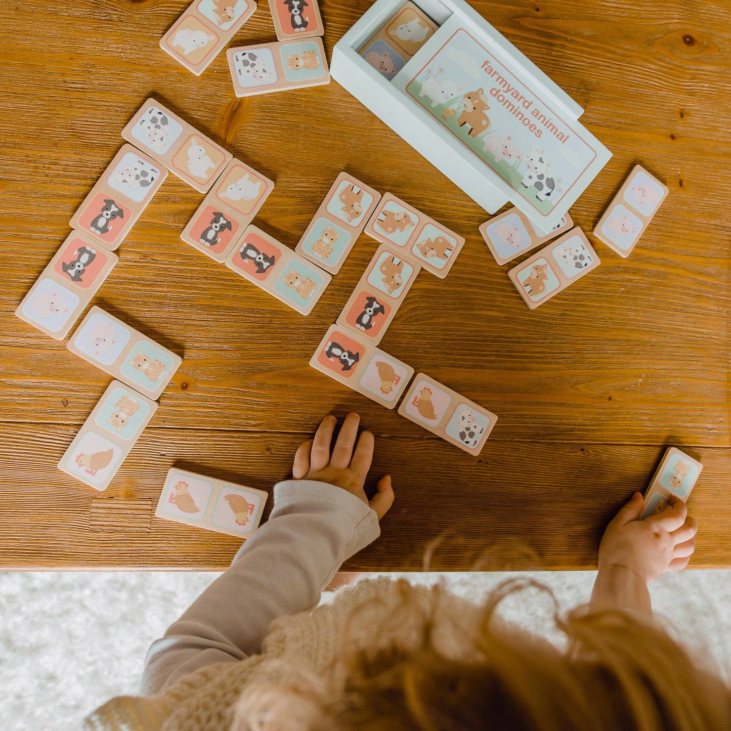 
                  
                    Farmyard Wooden Animal Dominoes
                  
                
