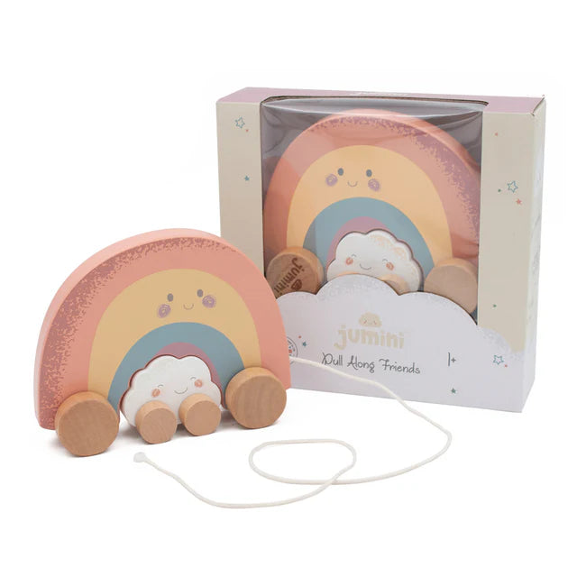 
                  
                    Pull Along Rainbow Cloud
                  
                