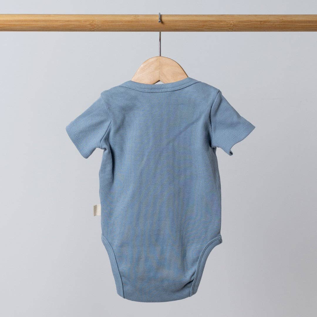 
                  
                    Short Sleeve Bodysuit: Dusty Pink
                  
                