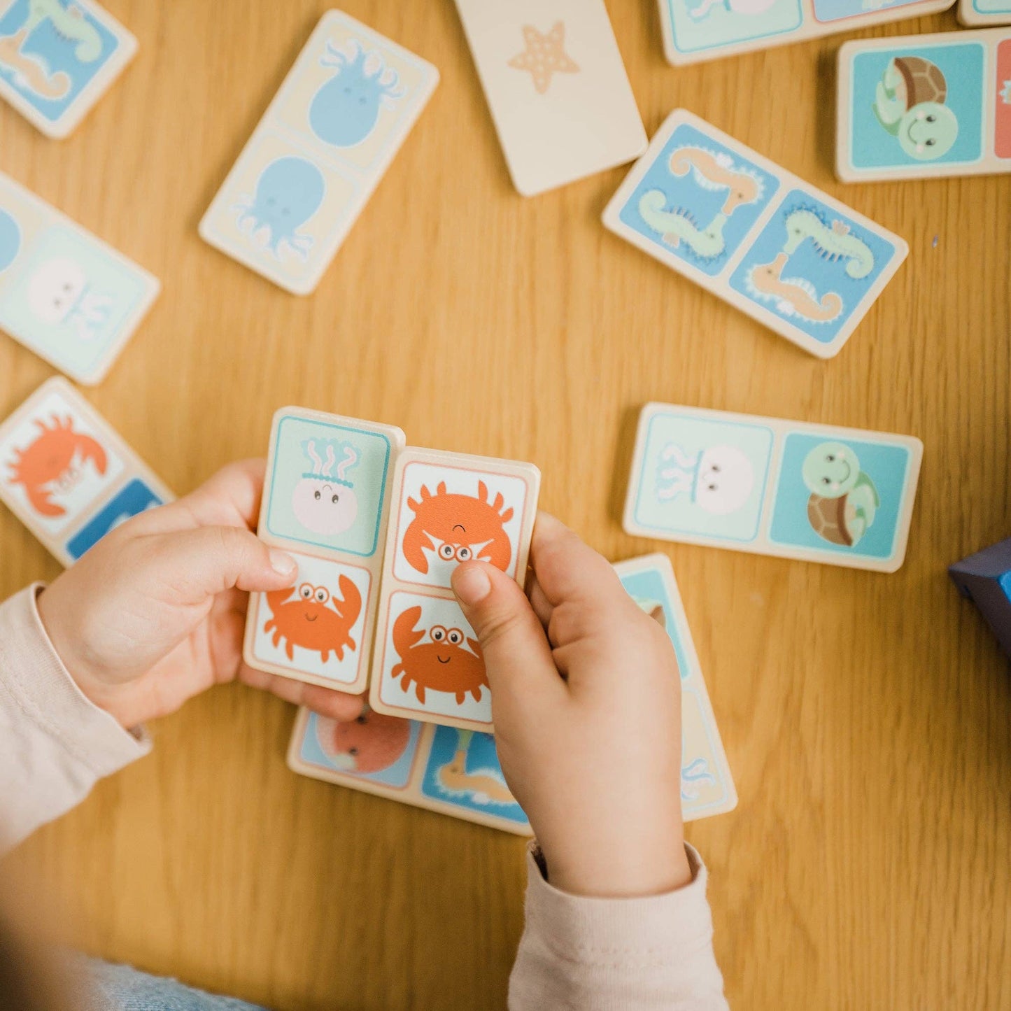 
                  
                    Sea Life Dominoes Set
                  
                