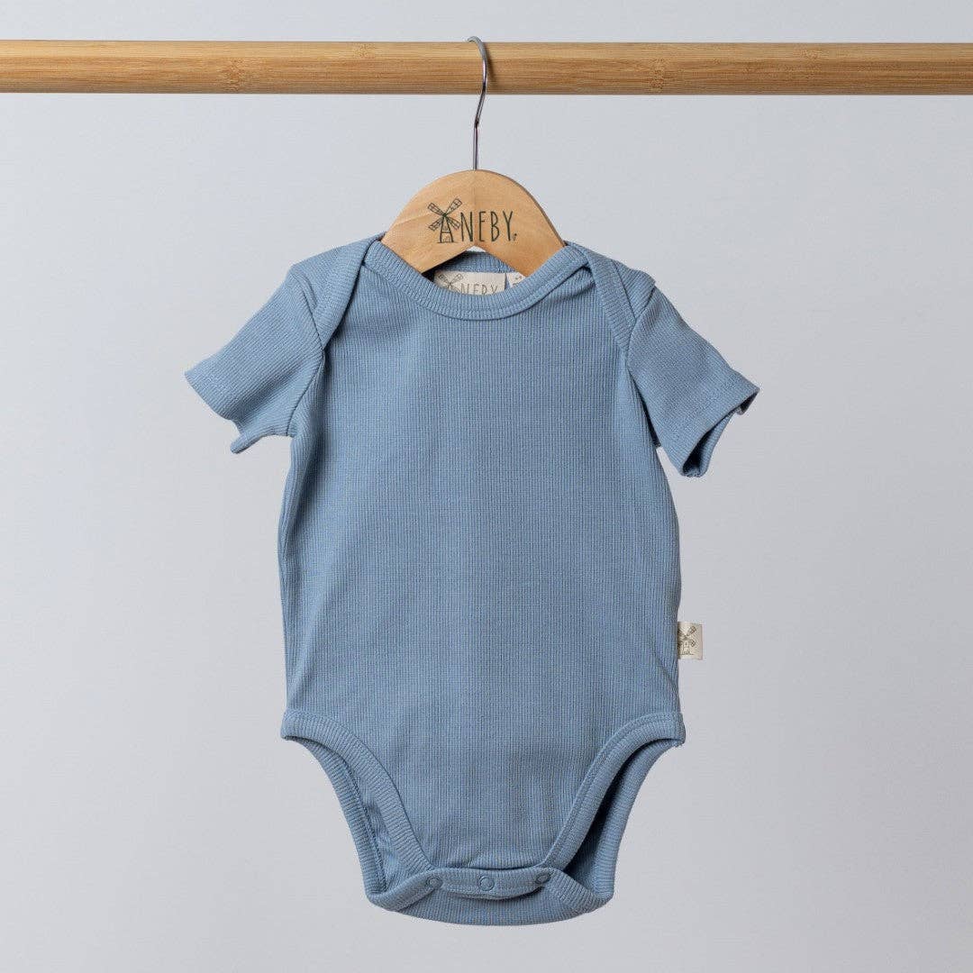 
                  
                    Short Sleeve Bodysuit: Dusty Pink
                  
                
