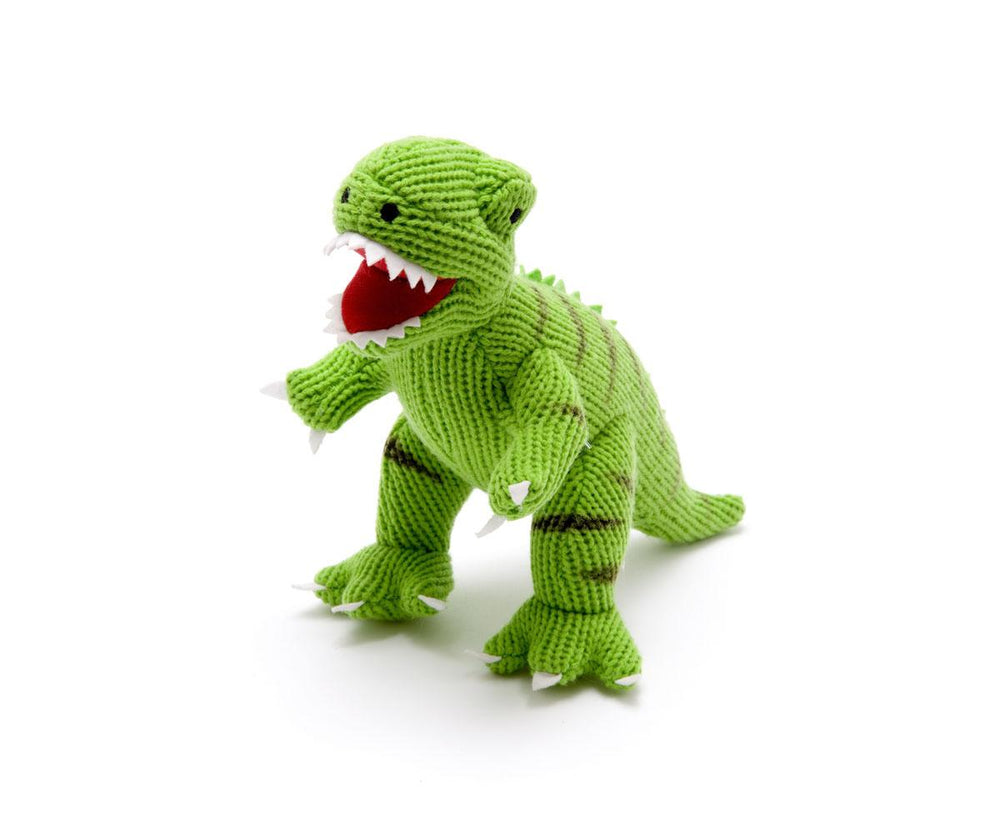 Knitted Green T Rex Dinosaur Toy - 'TOBY'