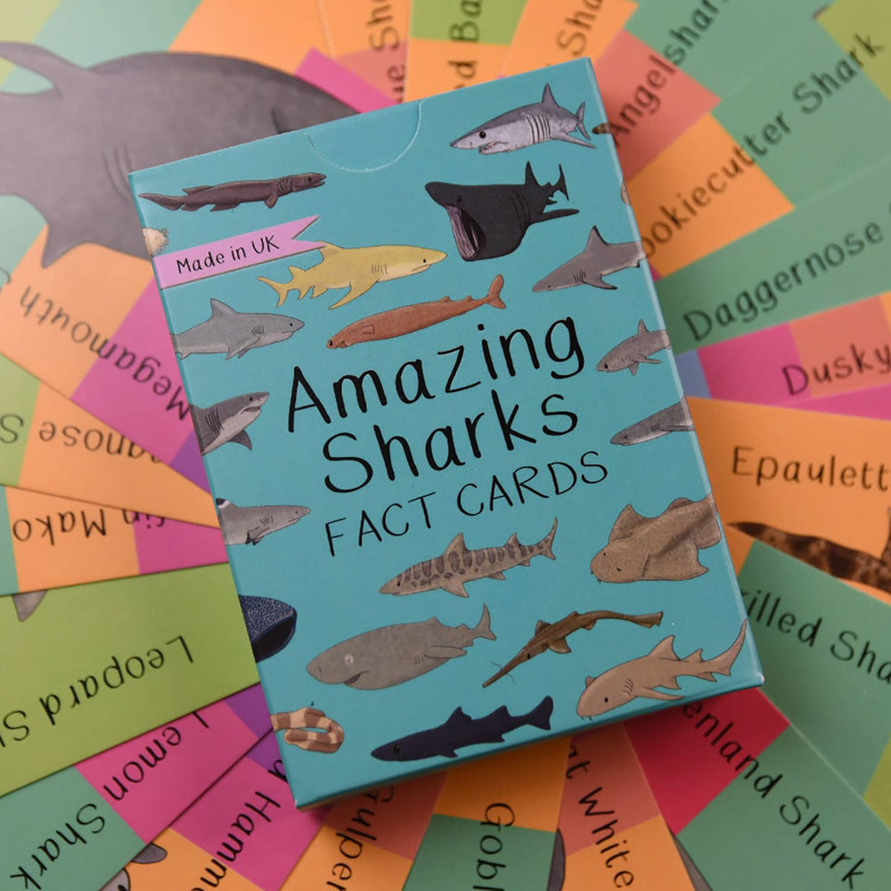 Amazing Sharks Fact Cards